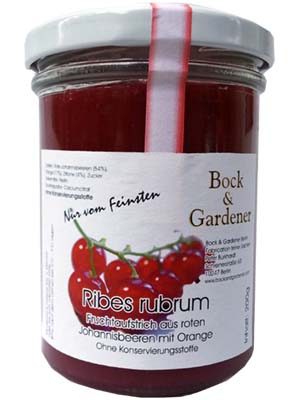 Ribes rubrum mit Orange