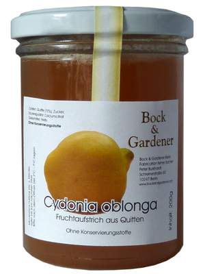 Bild Cydonia oblonga