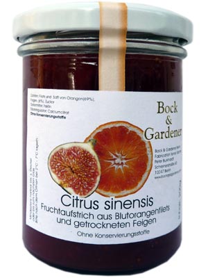 Citrus sinensis 