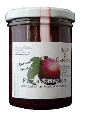 Bild Prunus domestica